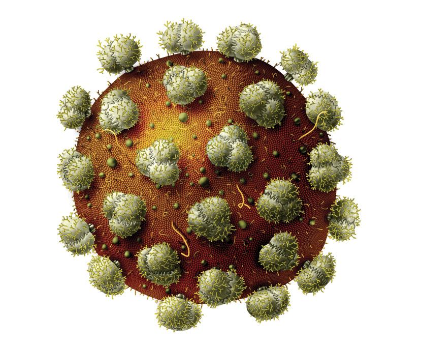 Infections Viral Hepatitis Tumor Virology Research and Development in