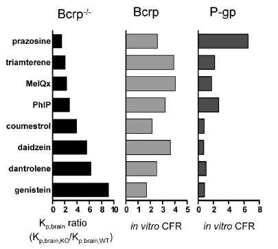 In Vitro- In Vivo Correlations, What about BCRP vs P-gp? Kusuhara and Sugiyama Is BCRP Important in the BBB? - Does BCRP KO tell the story? Kp?