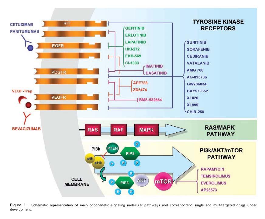 Case Study : Tyrosine Kinase Inhibitors for Glioblastoma Multiforme (Glioma) Molecularly-Targeted Agents. Can they find the target?
