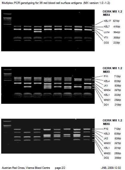 High-Throughput Multiplex PCR Genotyping for 35 Red