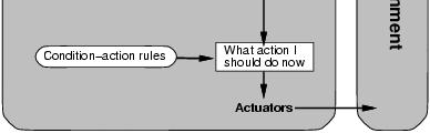static: rules, a set of condition-action rules Not the entire percept history!
