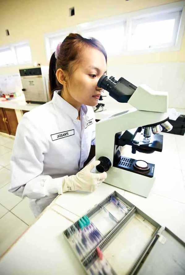 A lab technician checks a blood film for the presence of malaria parasites at Sultan Hassanudin Hospital, Indonesia.