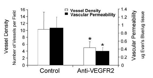 Antiangiogenic VEGFR