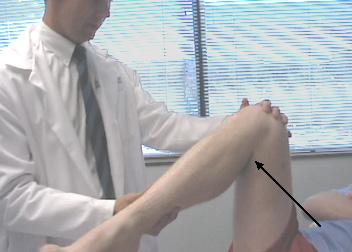 Range of Motion of Knee Normal ROM: 0 to 135