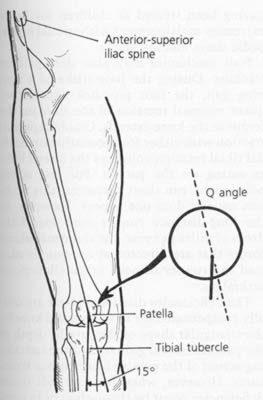 Patellofemoral Anatomy Functions as main extensor of the knee Factors that