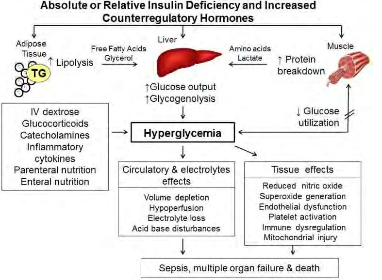 Hyperglycemia in the Hospital Increased complications/mortality Longer hospital stay Higher admission