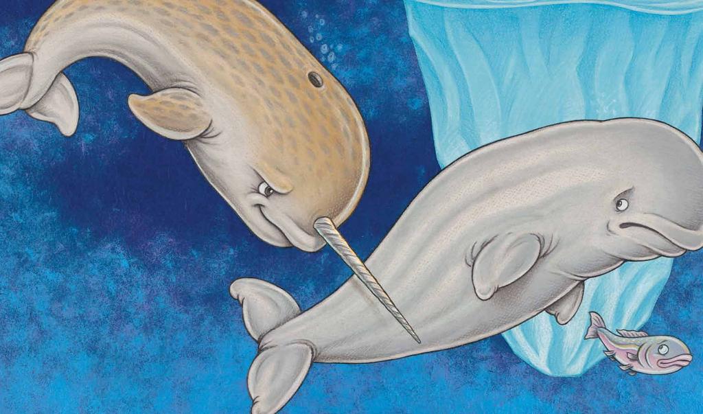 This is the narwhal, big and strong that swims with the beluga, blubbery thick that