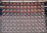 Viral Replication and Propagation 5. Prepare a 0.5% suspension of chicken red blood cells using phosphate buffered saline (PBS) while the infected eggs are chilling in a biological safety cabinet.