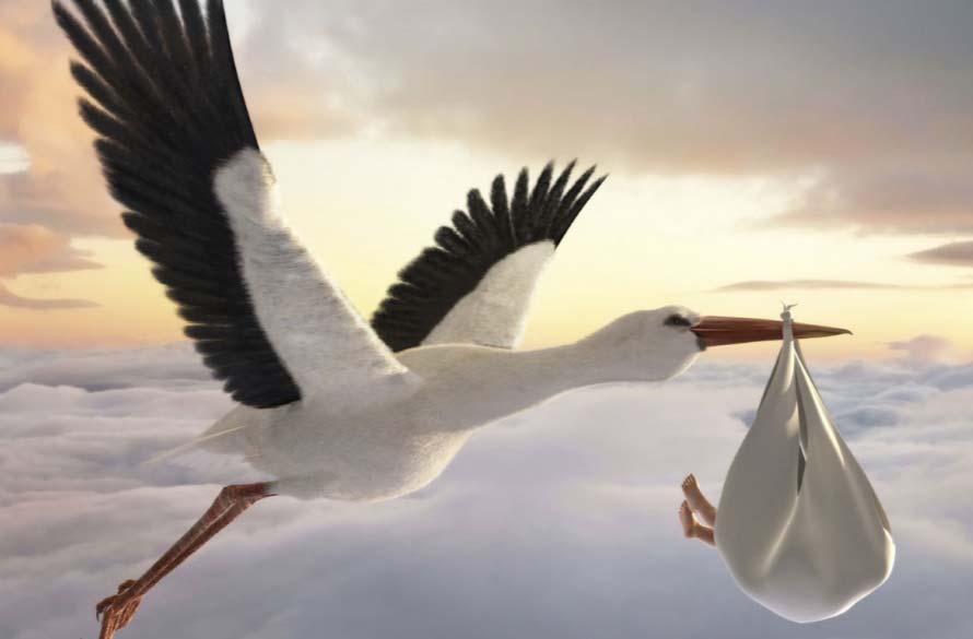 Inhabitants x10³ Bring storks