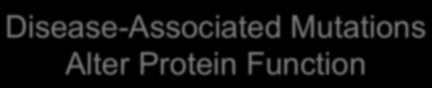 Functional protein Nonfunctional or missing protein Inherited