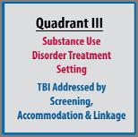 where people with TBI and substance misuse could receive treatment Quadrants are divided by whether the TBI and substance misuse are more or less severe Quadrant 1 Substance misuse is addressed in