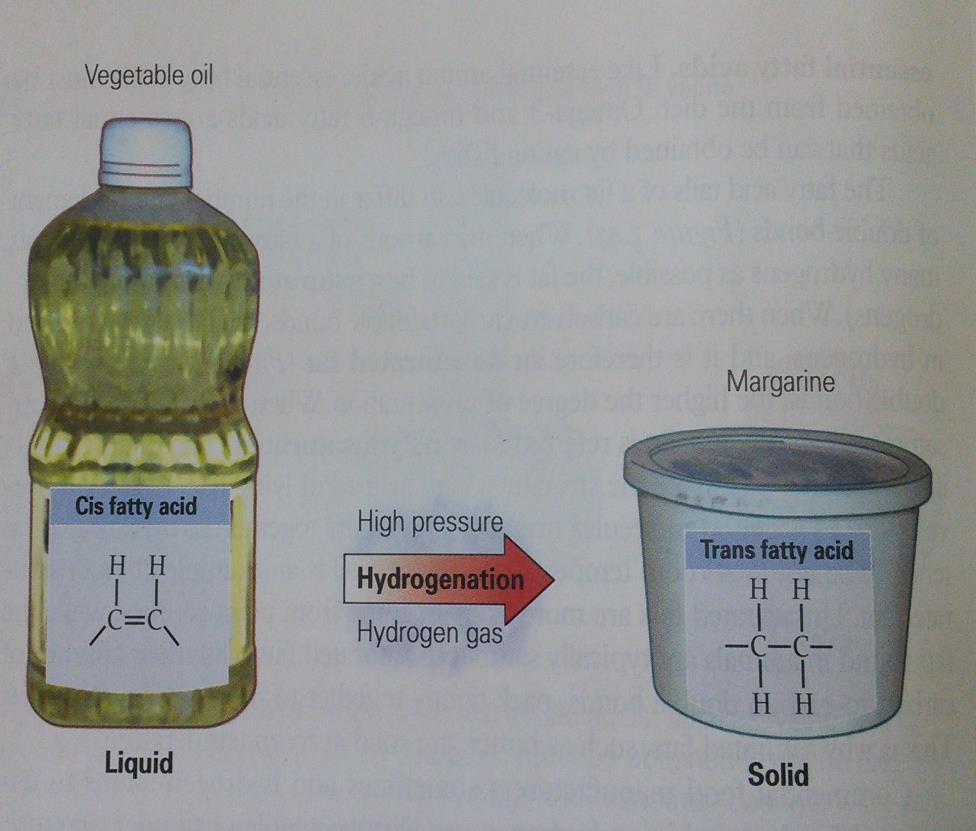Cis fatty acid versus Trans fatty acid When hydrogen atoms are on the same side of the carbon to carbon double bond, they are in the cis form.