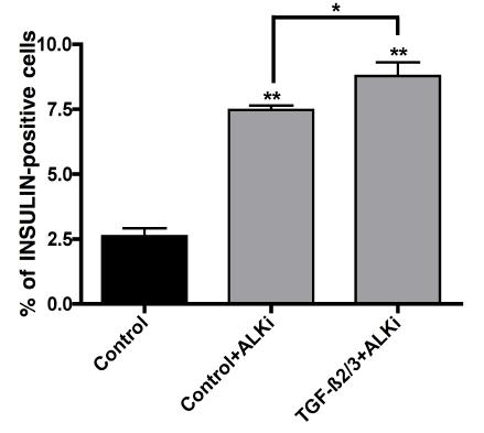 Supplementary Figure 7. Transient activation of TGF-ß pathway followed by ALK5 inhibitor increase number of INSULIN-positive cells in MEL 1 INS GFP/w cells.