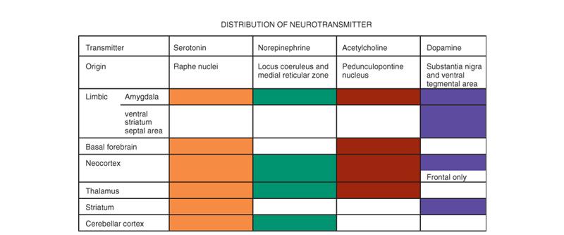 Distribution of Neuromodulators in
