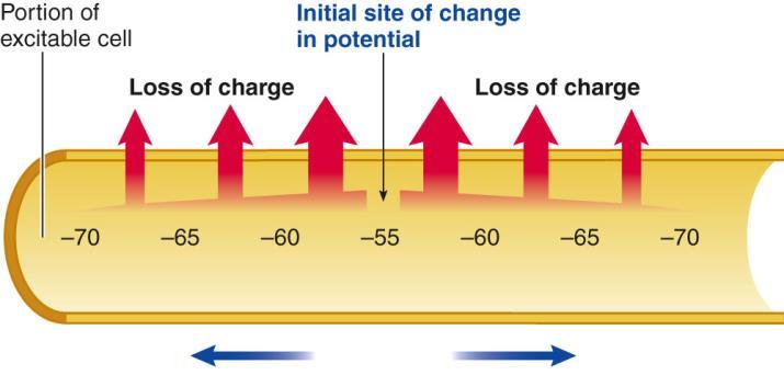 Graded s Initial site of change Loss of charge Loss of charge