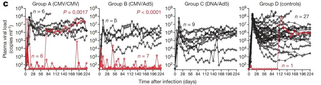 Recombinant Rhesus-CMV vectors for SIV vaccine Vaccine