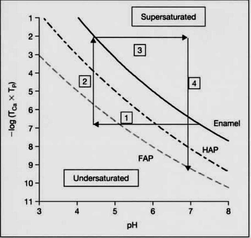 Solubility of enamel, HAP and FAP