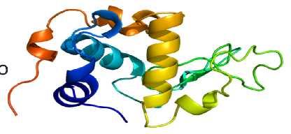 1) Nutritional Role of alpha-lactalbumin: Alpha-lactalbumin is particularly rich in tryptophan, lysine, and cystein.