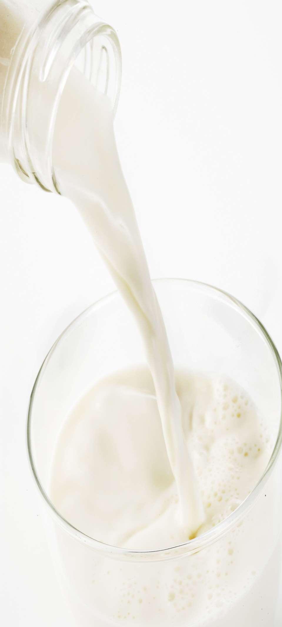 Health benefits of Milk and Dairy Obesity and weight loss Inflammation