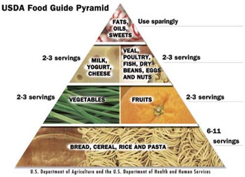 The paradigm shift from Pyramids to Plates 2010 avoid fat eat grains daily net servings vegetables protein (and dairy) balanced meals What s new in protein research: health of