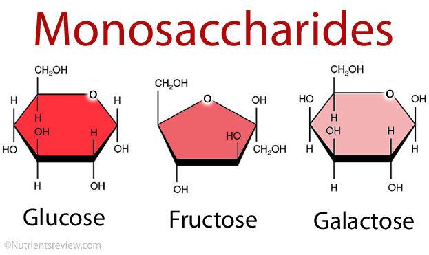 Types of Carbohydrates Monosaccharides Simple