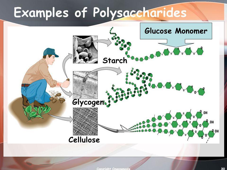 Oligosaccharides More than two sugars, but just a few form short chains.