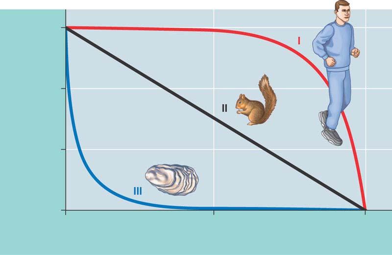 5. Compare and contrast semelparity and iteroparity give advantages of each as they apply to an example organism focus on the adaptive benefit of the life history. Are there any disadvantages?