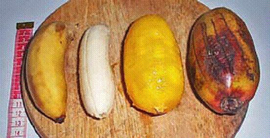Banana Variety Edible Portion Cultivar differences