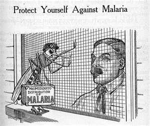 Incidence The World Health Organization estimates that in 2015 malaria caused 212 million clinical episodes, and 429,000 deaths.