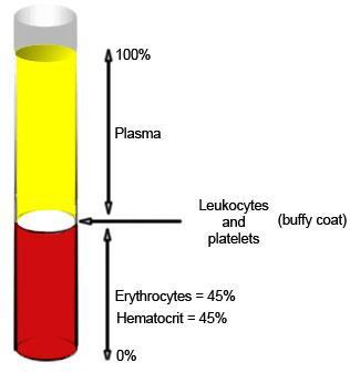 Haematocrit - Normal o Haematocrit/ Packed cell volume (PCV) o Percentage of blood occupied by Red blood cells Female normal range: 38-46% (average of 42%) Male normal
