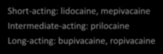 Short-acting: lidocaine, mepivacaine Intermediate-acting: