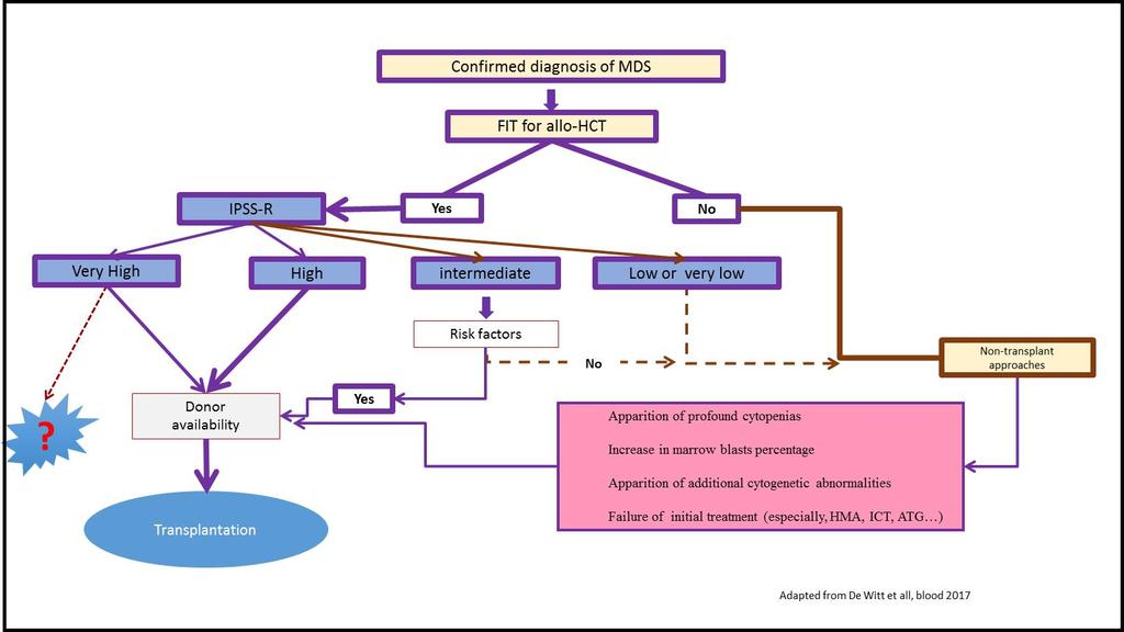 Figure 1: Decision making flowchart is based on disease risks according to IPSS-R and presence of comorbidity according to the HCT Comorbidity Index (HCT-CI) that are currently recognized as relevant