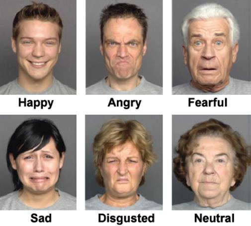 Changes in facial structure due to aging can affect the appearance of facial features resulting in poorer ability of humans and machines to recognize an individual s expression.