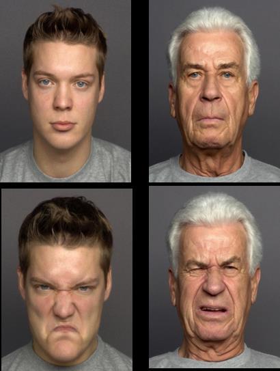 Fig. 14. Top row: neutral expressions, bottom row: disgust. Left column: a young example, right column and old example. V.