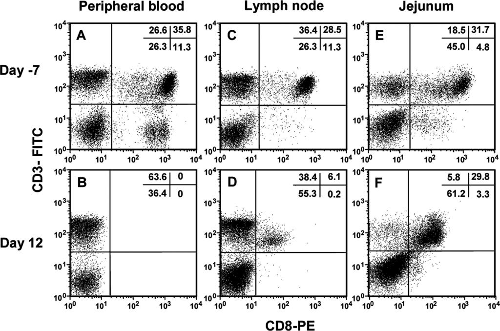 5622 VEAZEY ET AL. J. VIROL. FIG. 2. Efficacy of CD8 lymphocyte depletion in peripheral blood, lymph node, and jejunum using the anti-cd8 MAb cm-t807.