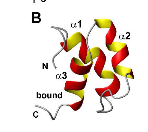 structure Binding