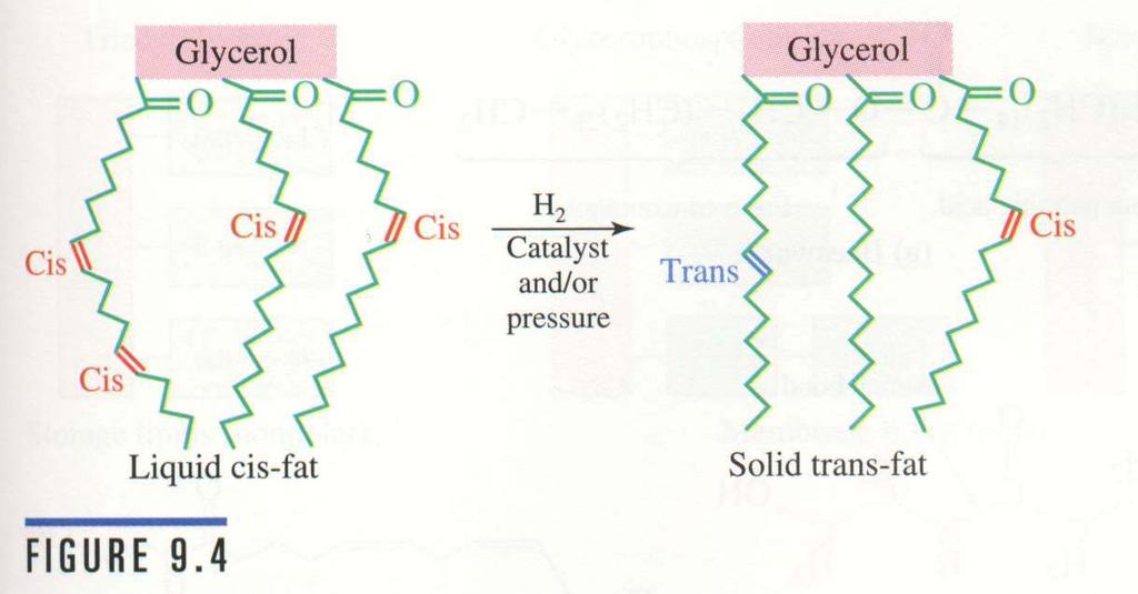 Lipids Hydrogenation of oils is used to produce solid triacylglycerols hydrogenation leads to the