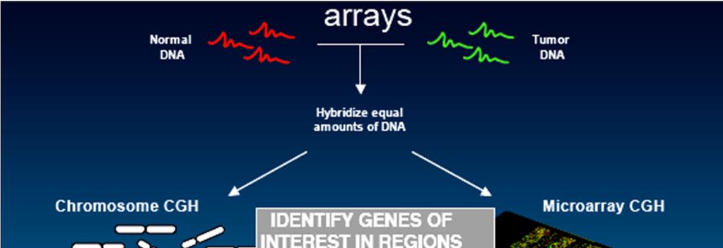 Comparative genomic hybridization (CGH)