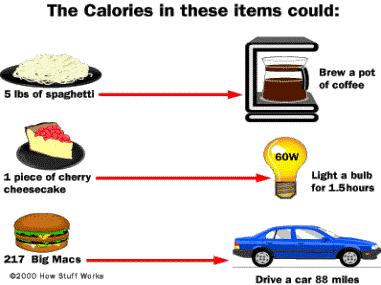 functions 22 23 Calories measure energy One calorie = amount of energy