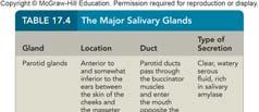 17.3: Salivary Glands Salivary glands secrete saliva: Moistens food particles and binds them together Dissolves food so it can be tasted Saliva contains enzymes (begin chemical digestion of