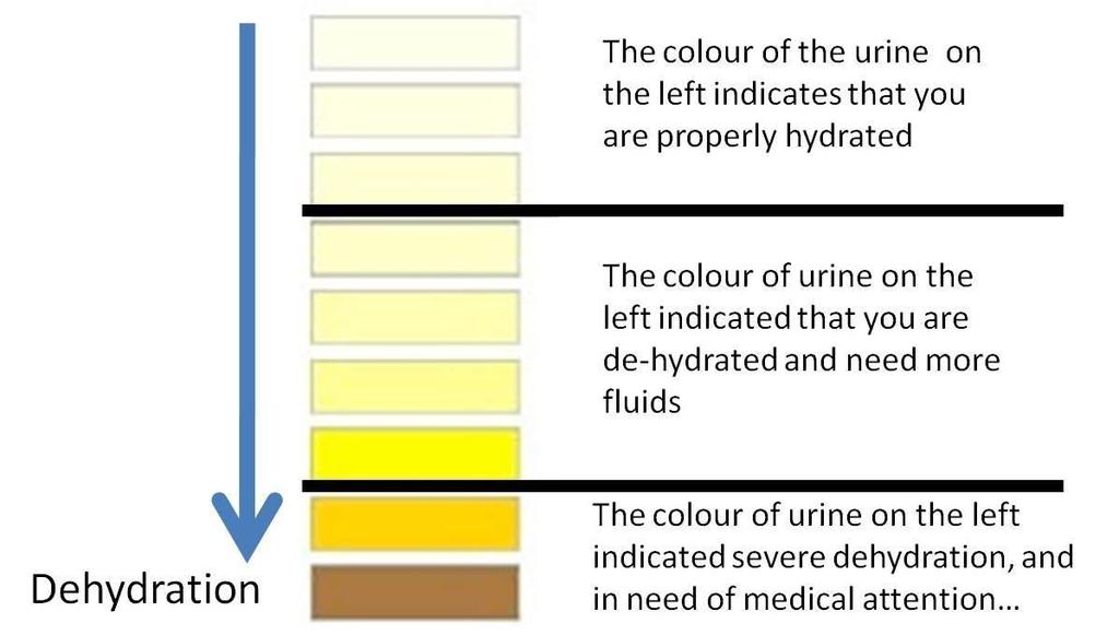 - Coloured urines occur in certain diseases or metabolic disorders, and after the