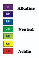 4- PH: On a normal mixed diet the urine is usually acid, generally varying in ph between