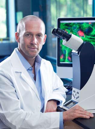 Dr Reynolds received his PhD in 1994 from the University of Calgary during which time he and Sam Weiss discovered the existence of stem cells in the adult central nervous system, challenging a