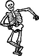 Skeletal System Structure: 206 bones of the human body Function: Protects and supports body organs Provides a framework that muscles