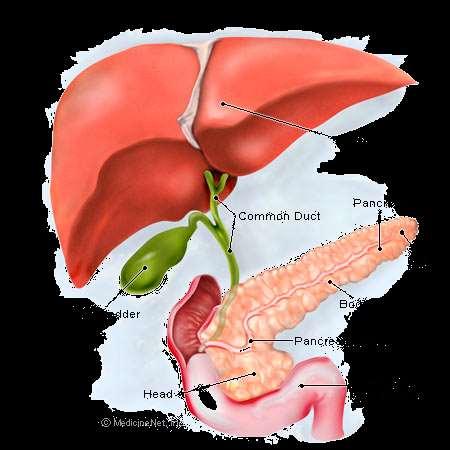 Pancreas produces two important hormones insulin and glucagon: they work