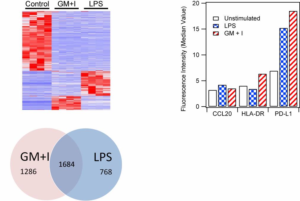 02 (n=12) Ex-vivo Stimulation: Genomics LPS: lipopolysaccharide GM+I: GM-CSF and INF-γ Flow Cytometry Validation