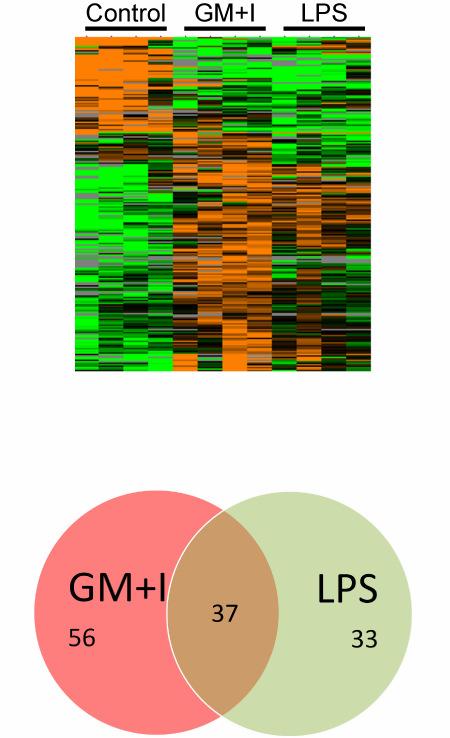 Ex-vivo Stimulation: Proteomics LPS: lipopolysaccharide GM+I: