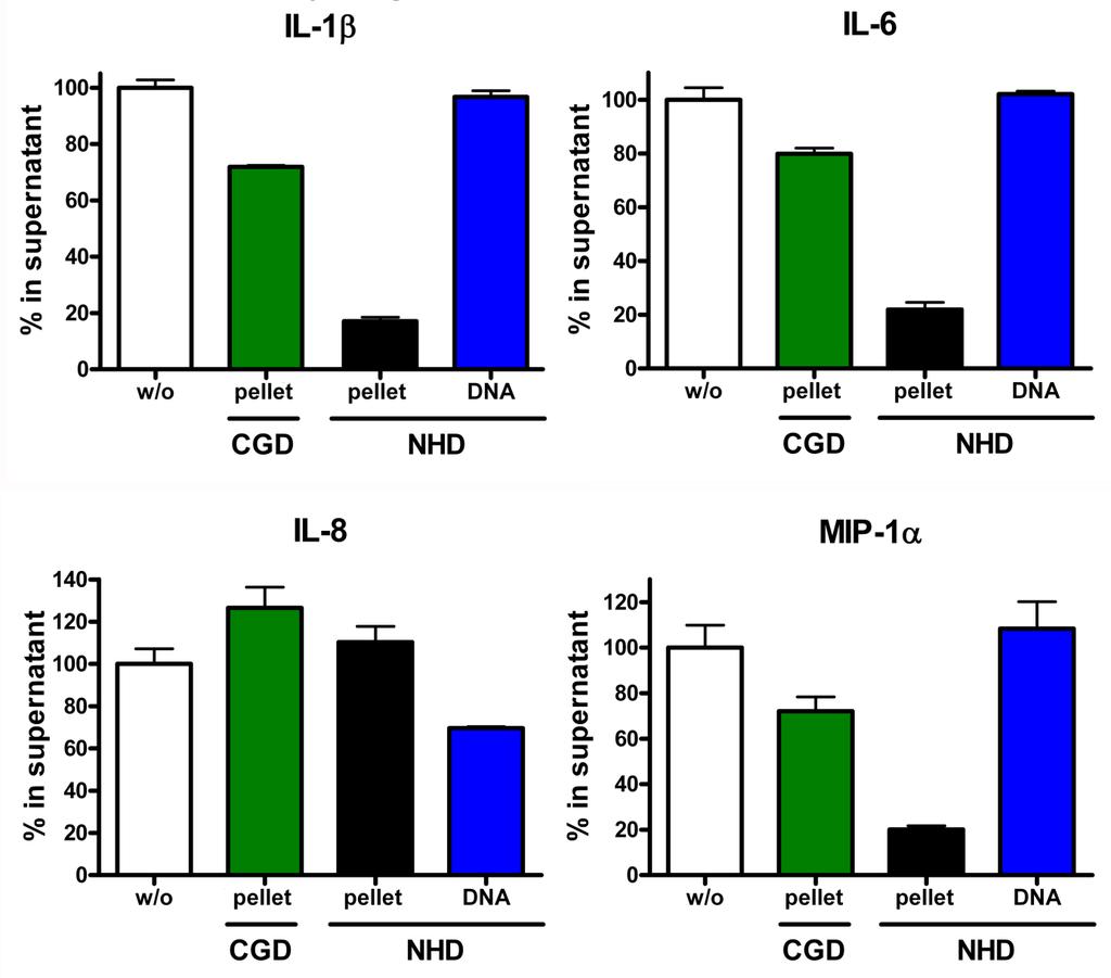 Supplementary Figure 8: Cytokine degradation is mediated by normal but not ROS-deficient neutrophils. Neutrophils from NHD or patients with CGD were stimulated with MSUcrystals.