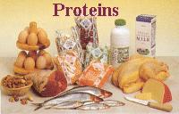 Proteins Consist of amino acids hooked together aa-aa-aa-aa-aa-aa-aa- 20 amino acids 8 essential amino acids