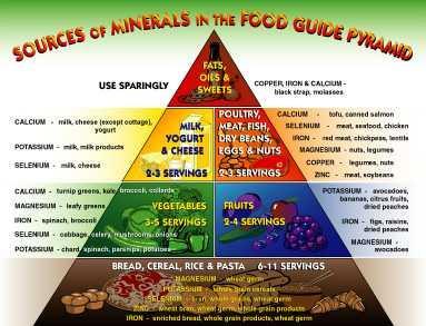 Minerals 17 essential minerals Inorganic substances: Iron, iodine, zinc, calcium, sulfur, potassium,
